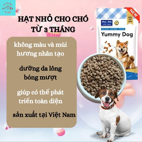 Hạt Cho Chó - Thức Ăn Cho Chó Hạt Yummy - Hạt Cho chó từ 3 tháng tuổi sản xuất tại Việt Nam túi 1kg