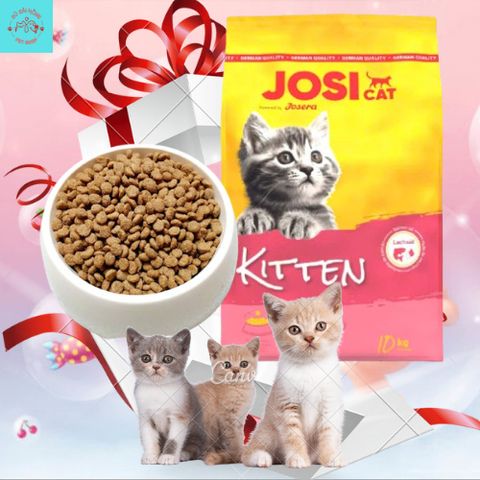 Hạt Cho Mèo Con Josicat Nhập Khẩu Đức - Thức Ăn Cho Mèo Kitten - Hạt Cho Mèo Trưởng Thành Và Mèo Con
