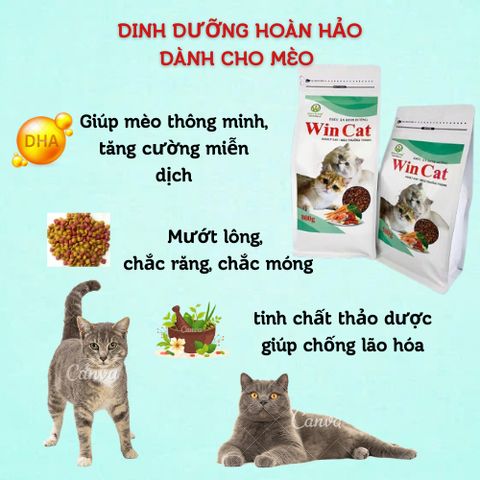 Hạt Cho Mèo Wincat - Thức Ăn Cho Mèo Kén Ăn - Hạt Nhỏ Cho Mọi Giống Mèo Túi 800g