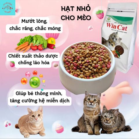 Hạt Cho Mèo Wincat - Thức Ăn Cho Mèo Kén Ăn - Hạt Nhỏ Cho Mọi Giống Mèo Túi 800g