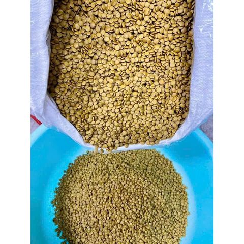 Hạt Cho Chó - Thức Ăn Dinh Dưỡng Cho Chó Trưởng Thành Windog túi 800g - Hạt Cho Chó Kén Ăn - Thức Ăn Cho Mọi Giống Chó