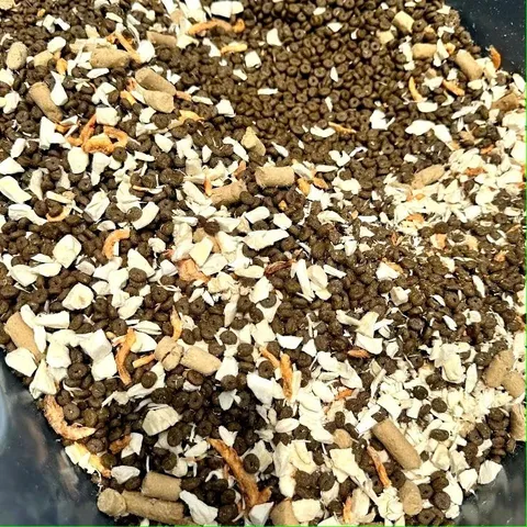[Túi 5KG] Hạt Cho Mèo Langlike - Thức Ăn Cho Mèo Đạm 40% - Hạt Cho Mèo mix topping không trứng