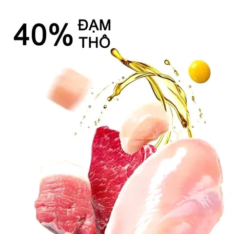 [Túi 5KG] Hạt Cho Mèo Langlike - Thức Ăn Cho Mèo Đạm 40% - Hạt Cho Mèo mix topping không trứng