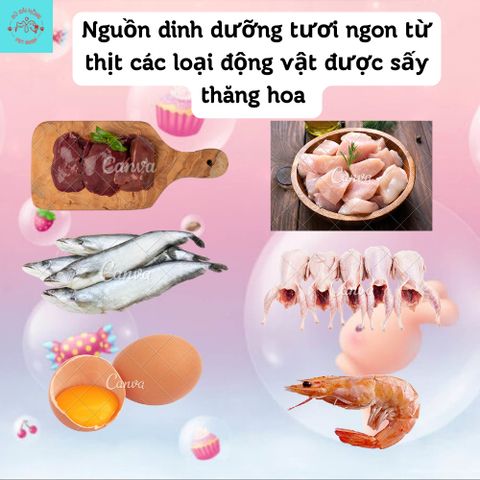 Thịt Sấy Khô Cho Chó Mèo Lishi - Đồ Ăn Vặt Thú Cưng - Thức Ăn Cho Mèo - Thịt Sấy Đủ Loại Cho Chó Mèo