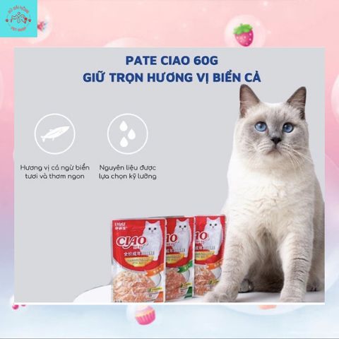 Pate Mèo Ciao - Thức Ăn Ướt Cho Mèo Mọi Lứa Tuổi Gói 60G