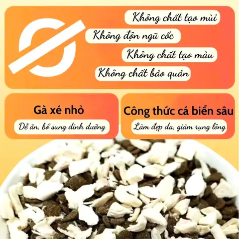 [Túi 5KG] Hạt Cho Mèo Langlike - Thức Ăn Cho Mèo Đạm 40% - Hạt Cho Mèo mix topping không trứng