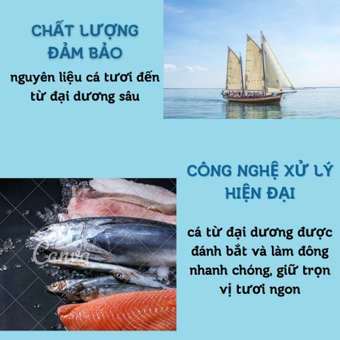 Pate Mèo Ciao - Thức Ăn Ướt Cho Mèo Mọi Lứa Tuổi Gói 60G