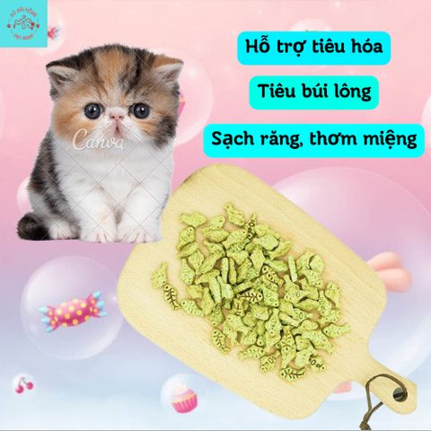Bánh Cá Catnip Biscuits Cho Mèo - Snack Cho Mèo - Đồ Ăn Vặt Cho Mèo Gói 40G