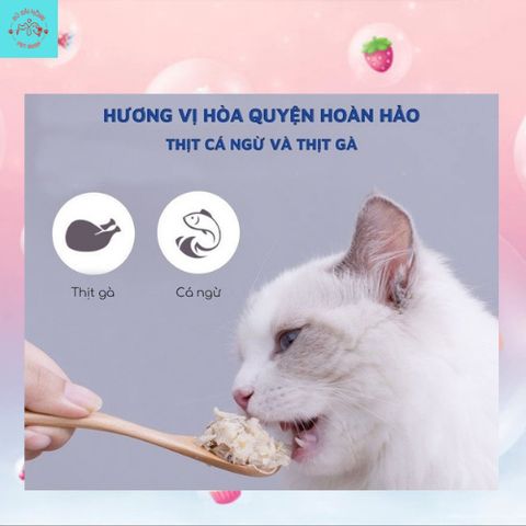 Pate Mèo Ciao - Thức Ăn Ướt Cho Mèo Mọi Lứa Tuổi Gói 60G