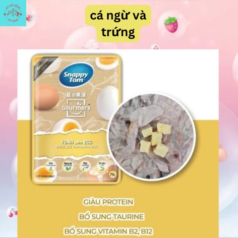 Pate Mèo Snappy Tom Trái Cây - Thức Ăn Cho Mèo Hỗn Hợp Cá Và Trái Cây Nhiều Dinh Dưỡng Gói 70G