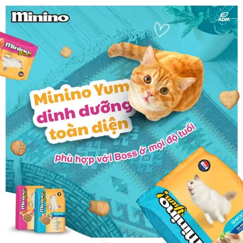Thức Ăn Hạt Minino Cho Mèo Từ 3 Tháng Tuổi 3 Vị: Cá Hồi 350g - Hải Sản 350g - Cá Ngừ 480g