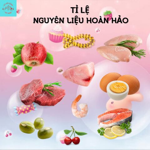 Hạt Mèo Captain Ben-Thức Ăn Hạt Captain Cho Mèo Bổ Sung 5 Loại Đông Khô Thủy Phân Tăng Nọng Vỗ Béo Cho Mèo