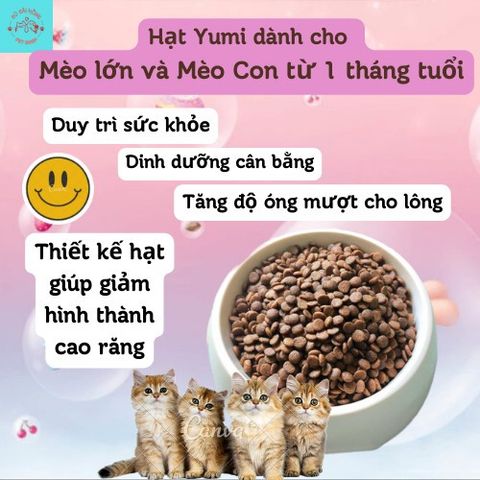Thức Ăn Cho Mèo - Hạt Yumi Cho Mèo - Hạt Cho Mèo Từ 1 Tháng Tuổi Thơm Ngon Bổ Dưỡng