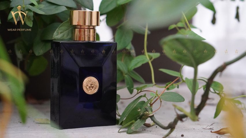 (Chính hãng) Nước Hoa Nam Versace Pour Homme Dylan Blue Eau De