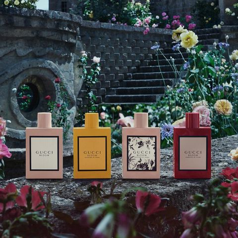 (Auth 100%) Nước Hoa Nữ Gucci Bloom Profumo Di Fiori Eau De Parfum 674912