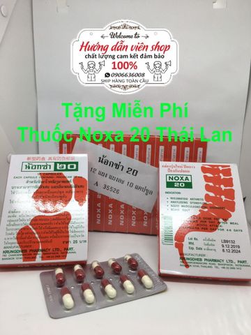 (Chính hãng) Bộ 12 hộp Viên Xương Khớp Noxa Thái Lan - Giảm Đau Xương