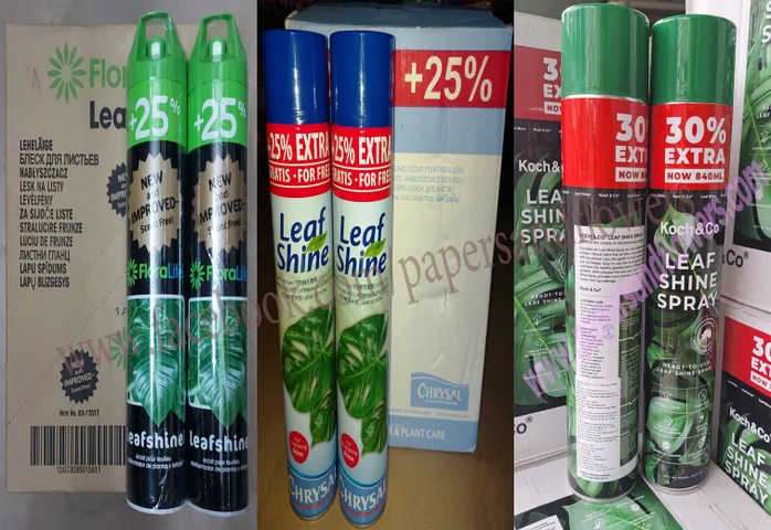 Chai Xịt Bóng Lá Leaf Shine 750ml - Duy Trì Độ Bóng Mượt Cho Cây Cảnh, Giúp Sạch Bụi Và Tươi Tăng Thời Gian Trưng Bày Hoa