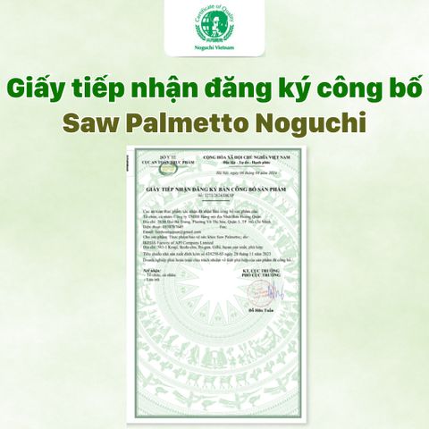 Viên Uống Saw Palmetto Noguchi 60 Viên