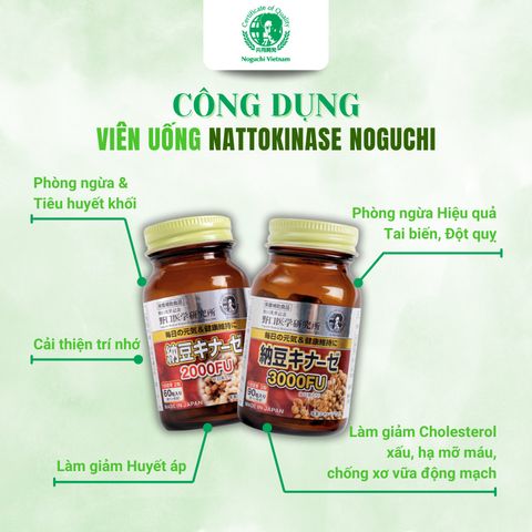 Viên Uống Hỗ Trợ Ngừa Tai Biến Đột Quỵ Natto Kinase Noguchi Nhật Bản 2000FU (Hộp 60 Viên) Date 1/2027