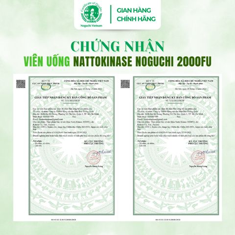TPBVSK Viên Uống Hỗ Trợ Ngừa Tai Biến Đột Quỵ Natto Kinase Noguchi Nhật Bản (Date T1.2027)