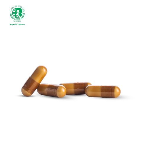 TPBVSK Viên Uống Hỗ Trợ Ngừa Tai Biến Đột Quỵ Natto Kinase Noguchi Nhật Bản (Date T1.2027)