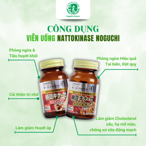 Viên Uống Hỗ Trợ Ngừa Tai Biến Đột Quỵ Natto Kinase Noguchi Nhật Bản 3000FU (Hộp 90 Viên) Date 1/2027