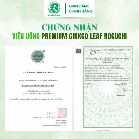 Viên Uống Bổ Não Premium Ginkgo Leaf Noguchi 60 viên Nhật Bản (DATE T2.2027)