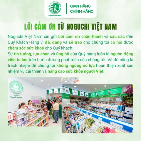 Viên Uống Bổ Não Premium Ginkgo Leaf Noguchi 60 viên Nhật Bản (DATE T2.2027)
