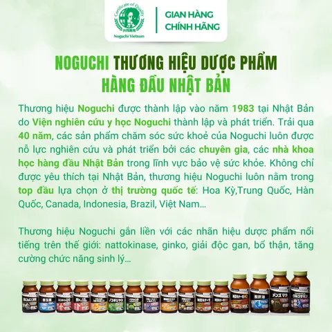 Viên Uống Bổ Não Ginkgo DHA & EPA Noguchi 60 Viên Nhật Bản (DATE T2.2027)