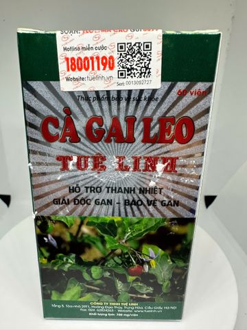Cà Gai Leo Tuệ Linh (Hộp 60 viên) - Giúp Bảo Vệ Và Phục Hồi Tế Bào Gan