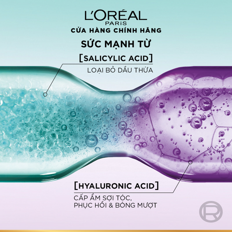 Bộ Gội Xả L’Oréal Paris Elseve Hyaluron 72H Pure/Moist 620ml 375ml - Tóc Mềm Mượt Nhẹ Bồng