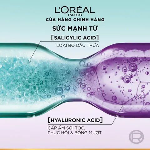 Bộ Gội Xả L’Oréal Paris Elseve Hyaluron 72H Pure/Moist 620ml 375ml - Tóc Mềm Mượt Nhẹ Bồng 720780