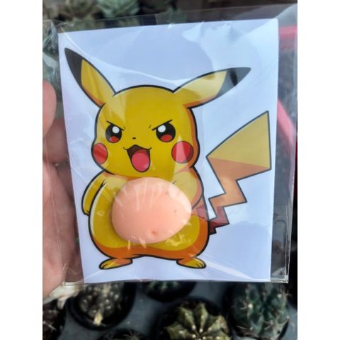 Sticker bụng to bự siêu dễ thương, đáng yêu và ngầu đét