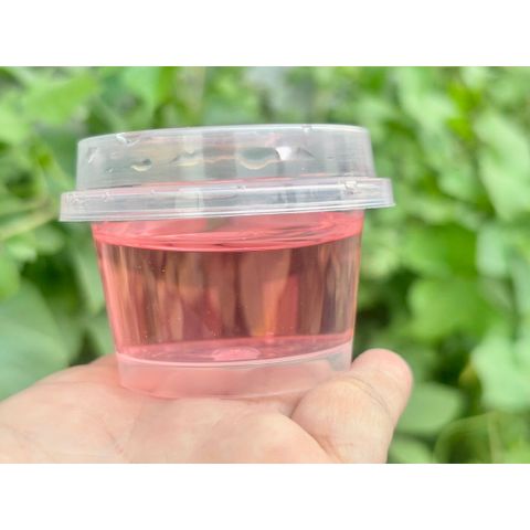 [Đại sỉ] 01 Khay 24 hộp slim trong suốt màu pastel mới hót 2026