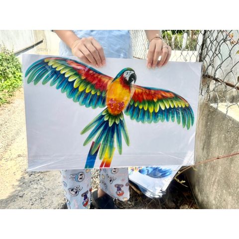 [Đại sỉ] Diều Nilong hot 2026 kèm cần câu nhỏ size 30cm rất rất nhiều mẫu