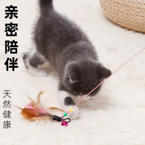 01 Cần câu mèo có lông giải trí cho mèo