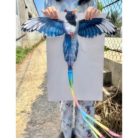 [Đại sỉ] Diều Nilong hot 2026 kèm cần câu nhỏ size 30cm rất rất nhiều mẫu