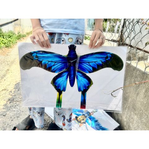 [Đại sỉ] Diều Nilong hot 2026 kèm cần câu nhỏ size 30cm rất rất nhiều mẫu