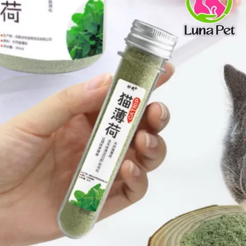 Catnip - ống cỏ giảm stress cho mèo