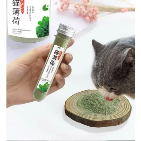 Catnip - ống cỏ giảm stress cho mèo