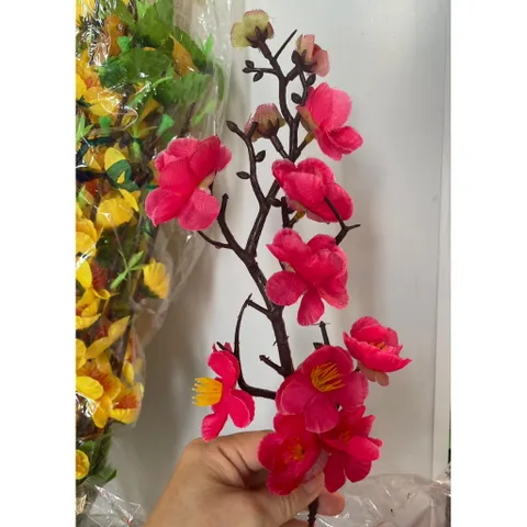 5 Nhánh mai, đào vải và nhựa trang trí Lễ Tết