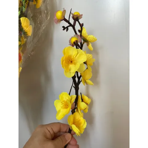 5 Nhánh mai, đào vải và nhựa trang trí Lễ Tết