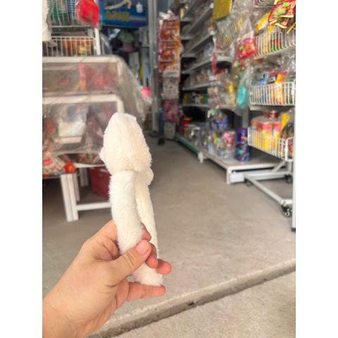 Thanh lý cài tóc hàng trưng bày