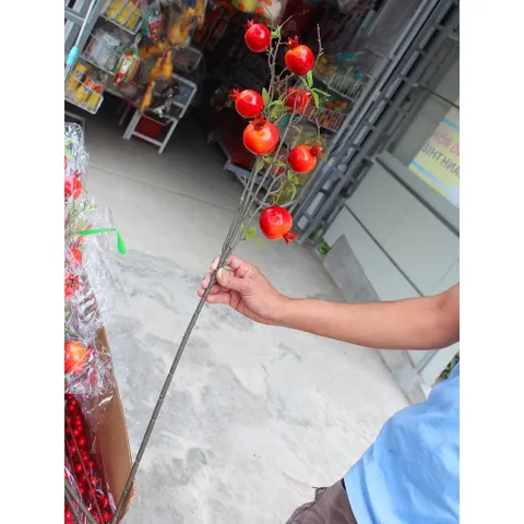 Đào đông, cành lựu đỏ trưng Trang trí Tết