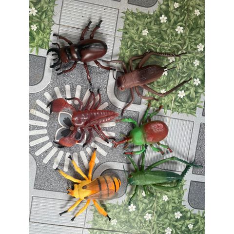 Đồ chơi nhựa hình côn trùng size lớn