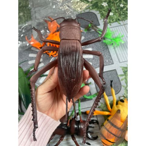 Đồ chơi nhựa hình côn trùng size lớn