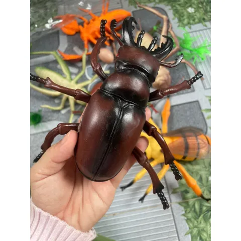Đồ chơi nhựa hình côn trùng size lớn