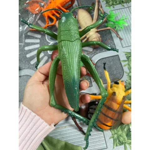 Đồ chơi nhựa hình côn trùng size lớn