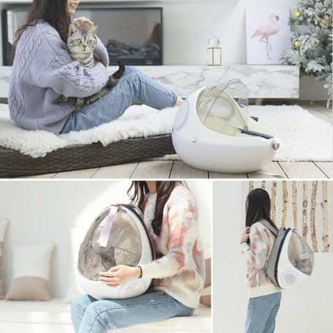 Balo bọ rùa cho chó mèo