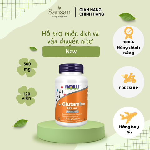 Viên uống NOW L-Glutamine 500mg 120 viên – Hỗ trợ chức năng miễn dịch, vận chuyển nitơ, bổ sung axit amin